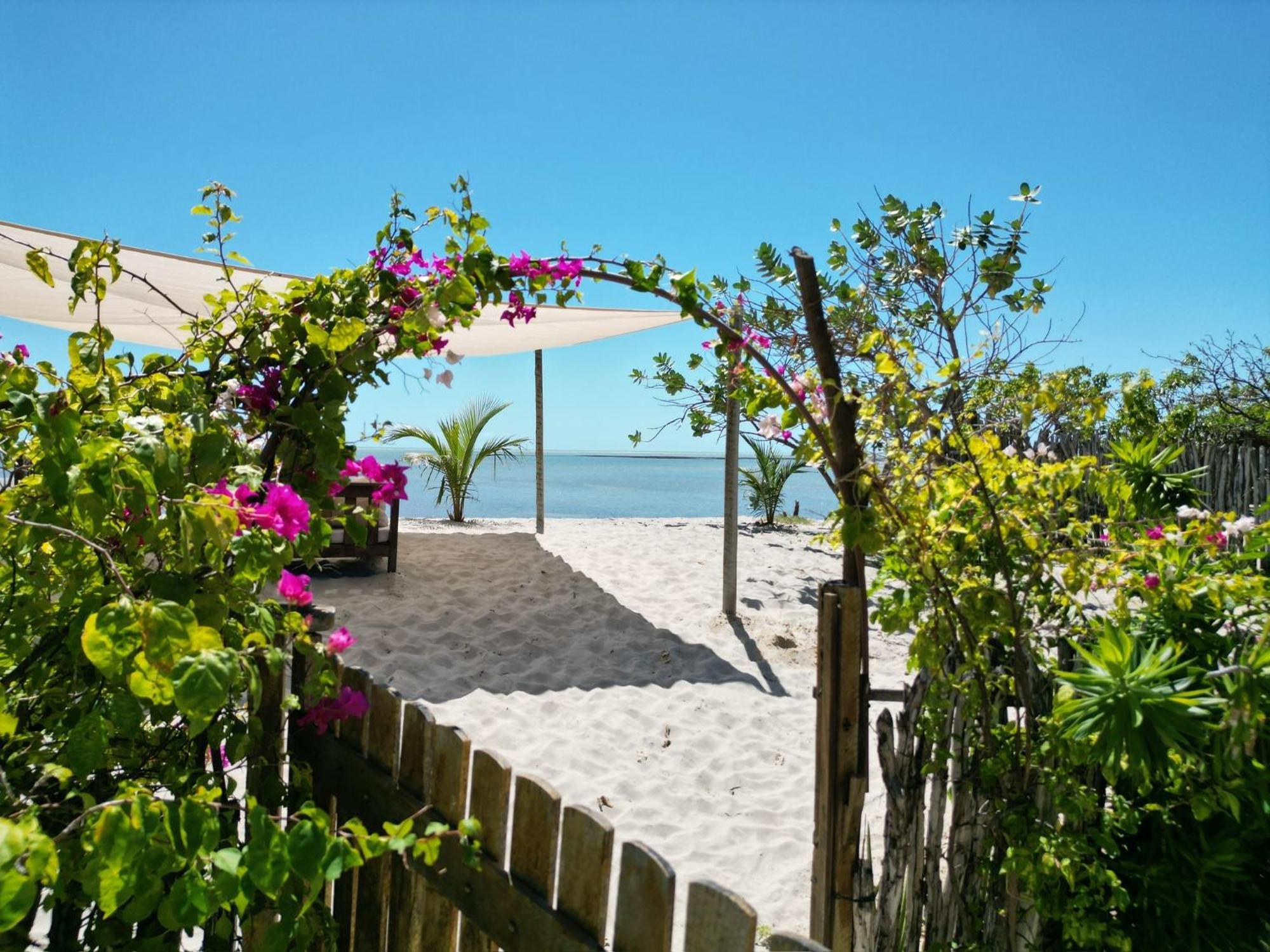 Casa Camurupim Barra Grande  Εξωτερικό φωτογραφία
